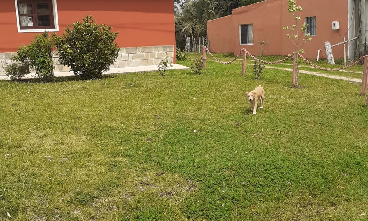 IMG-20230615-WA0027