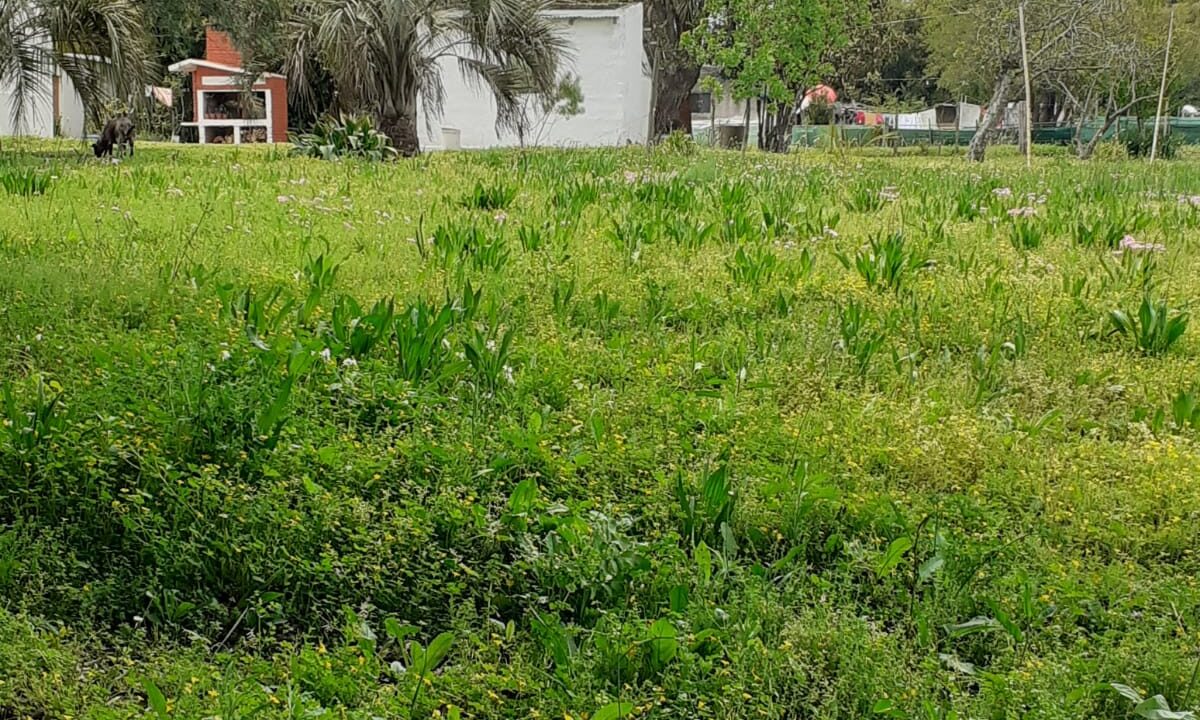 IMG-20230615-WA0039