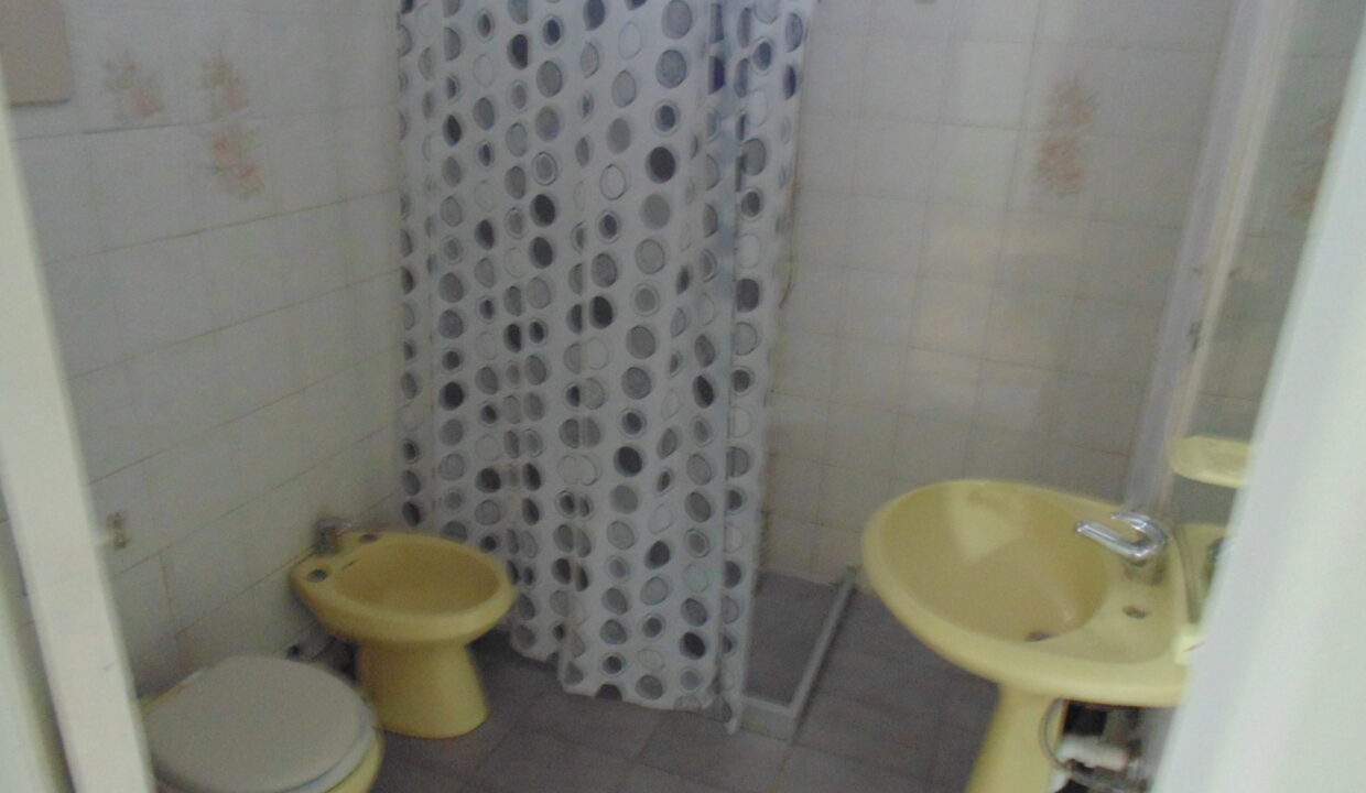 DSC00051
