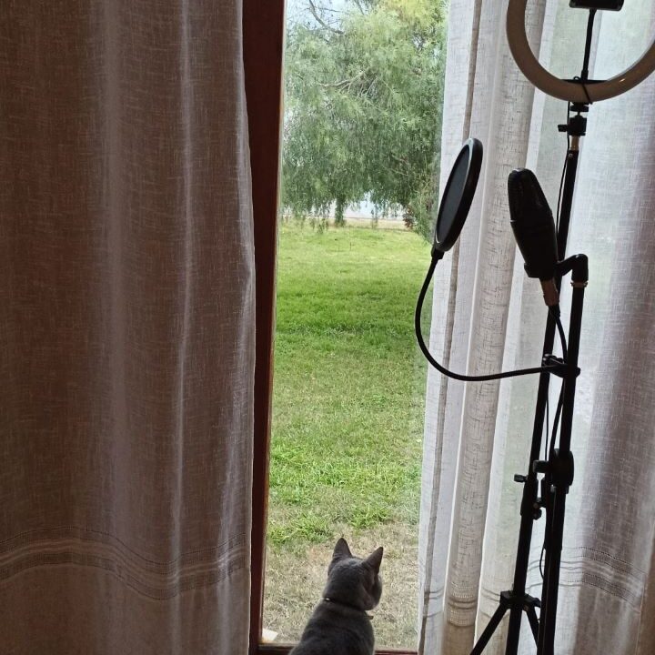 1708455207473 PII
