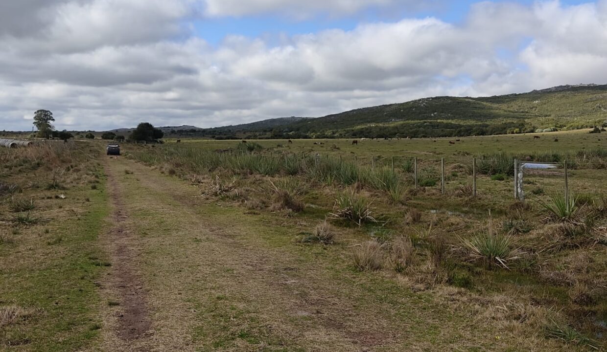 IMG-20250407-WA0003