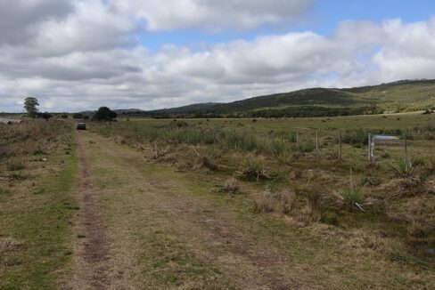 IMG-20250407-WA0003