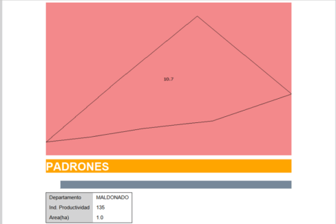 Ref. 1 CH DPI